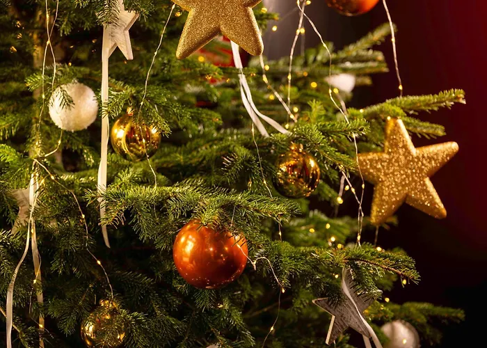 Hotel D - Strasbourg